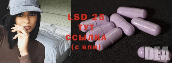 ECSTASY Белокуриха